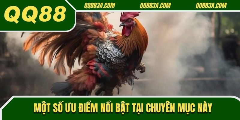 Một số ưu điểm nổi bật tại chuyên mục này